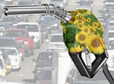 Biocombust&iacute;veis, entenda um pouco mais