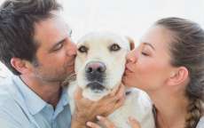 Tutores poder&atilde;o solicitar certid&atilde;o de nascimento para pets