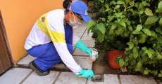 Secretaria confirma mais tr&ecirc;s casos de zika em Curitiba; j&aacute; s&atilde;o 28
