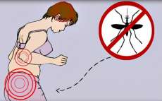 N&atilde;o estou gr&aacute;vida, o que pode acontecer se eu pegar zika v&iacute;rus? Entenda riscos