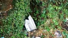 Moradores acham caix&atilde;o em bica d&rsquo;&aacute;gua no Paran&aacute;