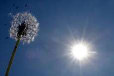 Previs&atilde;o &eacute; de tempo bom e temperaturas em eleva&ccedil;&atilde;o no final de semana
