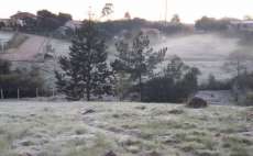 Paran&aacute; amanhece com temperaturas negativas e geada em v&aacute;rias regi&otilde;es