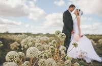 Casamento: o que acontece depois do sim?