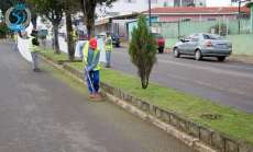 Pinh&atilde;o - Cidade Limpa &ndash; Equipes trabalham na Avenida Trifon