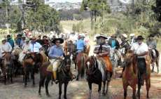 Adapar elimina foco de mormo e Paran&aacute; &eacute; &aacute;rea livre da doen&ccedil;a de cavalo