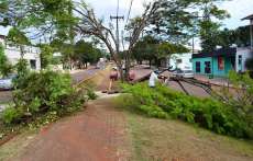 Tr&ecirc;s Barras - Prefeitura inicia execu&ccedil;&atilde;o da 1&ordf; etapa do Plano de Arboriza&ccedil;&atilde;o