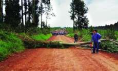 Foto - Jornal O Paran&aacute;