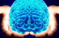 Estudo mostra que nova terapia consegue reverter Alzheimer