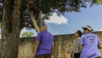 Paraná - 4 cidades têm epidemia de dengue