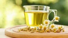 Conhe&ccedil;a as propriedades medicinais da lavanda, pr&iacute;mula e camomila