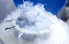 Congelamento de &oacute;vulos &eacute; alternativa para preservar fertilidade
