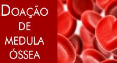 Paran&aacute; tem 19% dos doadores de medula &oacute;ssea do Pa&iacute;s