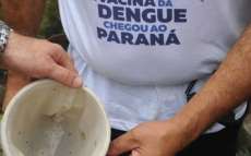 Casos de dengue caem 98% no Paran&aacute;