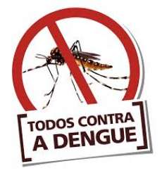Paran&aacute; - Estado j&aacute; contabiliza 8.528 casos e cinco mortes por dengue