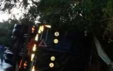 Carreta tomba ap&oacute;s enxame de abelhas 'atacar' motorista