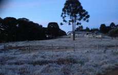 Paran&aacute; amanheceu com temperaturas negativas e geada pelo 2&ordm; dia seguido