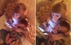 Macaca cuida de filhote enquanto mexe em celular. Veja o v&iacute;deo!