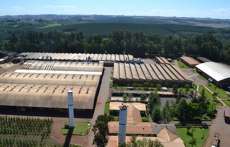 Quedas - Araupel prepara aumento da produ&ccedil;&atilde;o de pellets