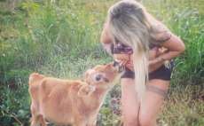 Sabrina Boing Boing posta foto "dando de mamar" &agrave; bezerro
