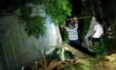 Nova Laranjeiras - Carreta cai em ribanceira e carga &eacute; saqueada