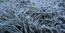 Paran&aacute; - Com 3&ordm;C, S&atilde;o Mateus do Sul registra a temperatura mais baixa do ano no estado