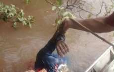 Homem cai em rio e tem a cabe&ccedil;a devorada por piranhas; Cuidado, imagens fortes