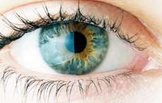 Olhos ajudam a diagnosticar doen&ccedil;as