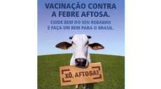 Goioxim - Secretaria de agricultura iniciou a campanha de vacina&ccedil;&atilde;o contra febre aftosa