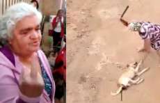Veja v&iacute;deo e a hist&oacute;ria da mulher que espancou cachorro e chocou o Brasil