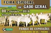 Laranjeiras - Neste sábado dia 08, grande leilão: feira especial de gado geral