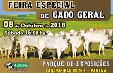 Laranjeiras - Neste sábado dia 08, grande leilão: feira especial de gado geral