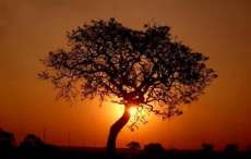 Brasil teve duas das 20 maiores temperaturas do mundo