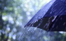 Semana come&ccedil;a com chuva no Paran&aacute;