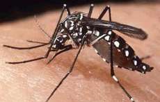 Guarania&ccedil;u - Vigil&acirc;ncia Ambiental desenvolve a&ccedil;&otilde;es de combate a Dengue