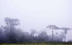 No Paran&aacute; frio volta com for&ccedil;a no domingo