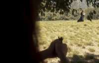 'Novo Mundo': Pedro atira em Domitila