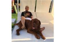 Lionel Messi enlouquece internautas ao exibir seu cachorro no Instagram