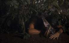 'Novo Mundo': Jacira desmaia no meio da mata