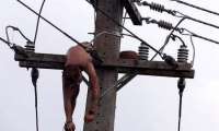 Rapaz embriagado sobe em poste e leva choque de 13 mil volts