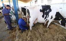 Nova Laranjeiras - Secretaria de Agricultura e EMATER promovem viagem de incentivo a Produtores