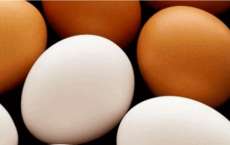 Saiba como evitar a contamina&ccedil;&atilde;o por Salmonella em ovos