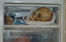 Restos humanos foram encontrados no apartamento da mulher 
