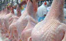 China faz investiga&ccedil;&atilde;o contra importa&ccedil;&atilde;o de frango brasileiro