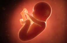 STJ condena padre por interromper aborto legal