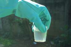 A dengue vem mais forte de dois em dois anos no Paran&aacute;