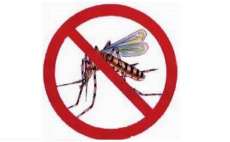 Quedas - Diminui o n&uacute;mero de casos de dengue no munic&iacute;pio