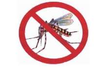 Quedas - Ser&aacute; realizado no munic&iacute;pio levantamento de &iacute;ndice de dengue