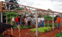 Laranjeiras -  Rotary Clube e UFFS constrõem estufa na Casa de Repouso