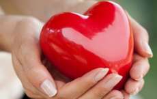 Cardiologista esclarece mitos e verdades sobre o colesterol
